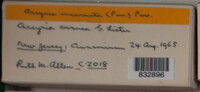 Image Associated With the Occurence